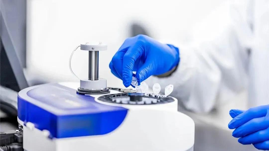 20240305110328_7851_1080x608